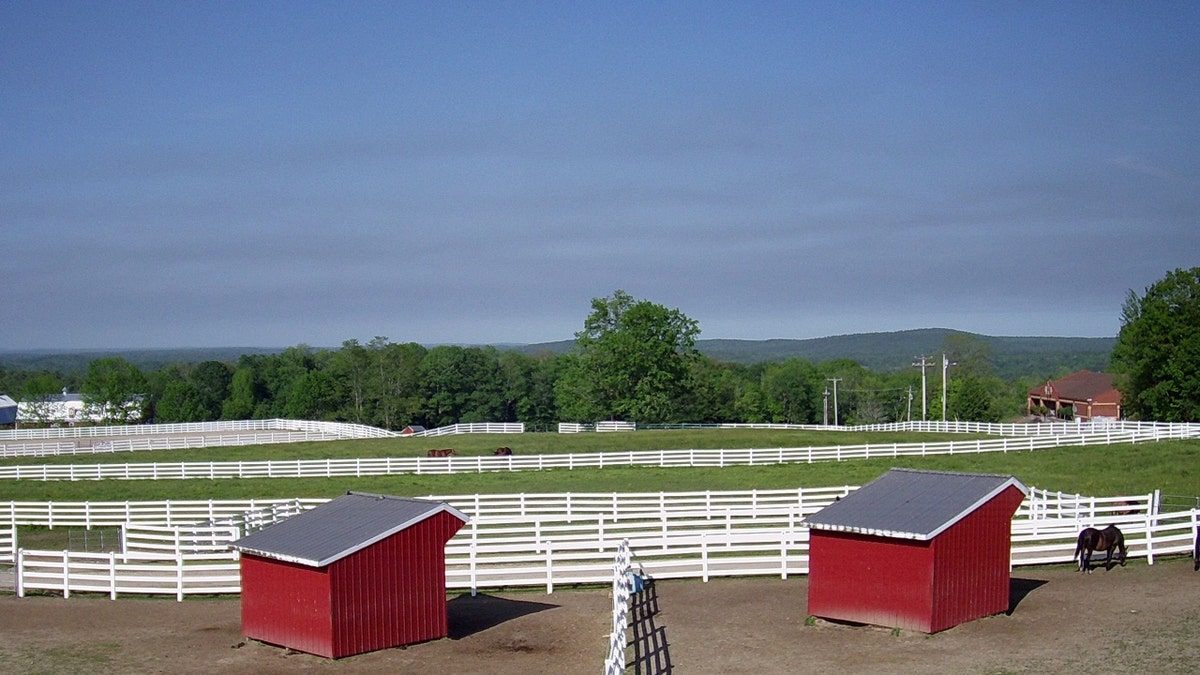 farm with bright blue sky in background