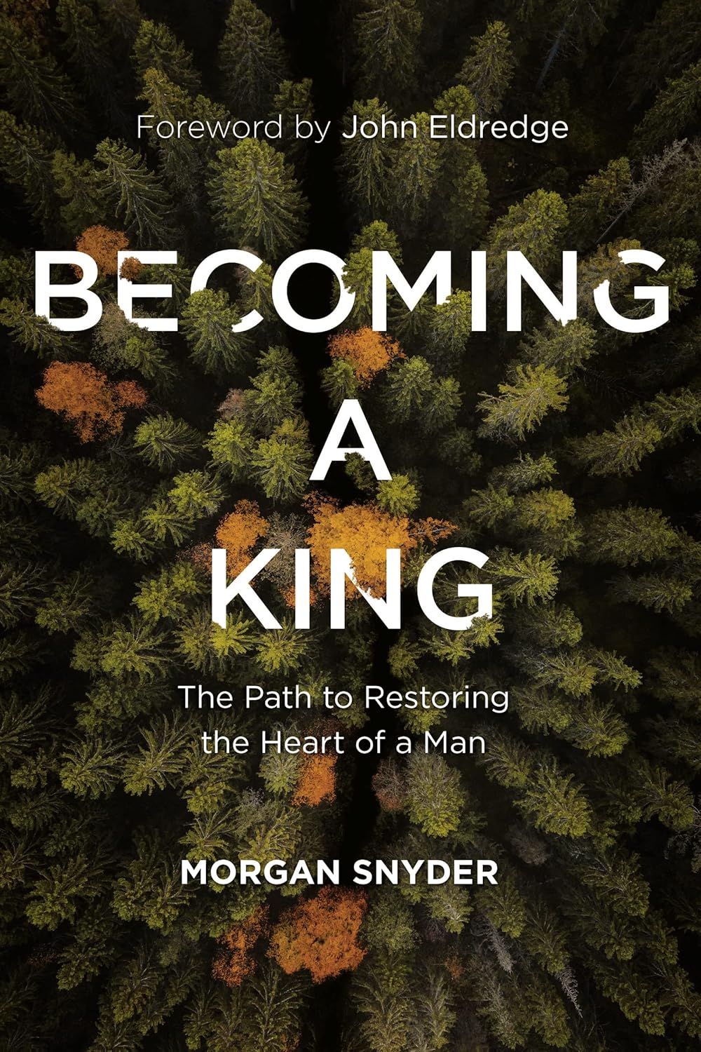 Becoming a King: The Path to Restoring the Heart of a Man