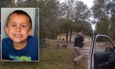 Florida boy, 8, 'maliciously mauled' to death by dogs he stopped to pet while out riding his bike: sheriff