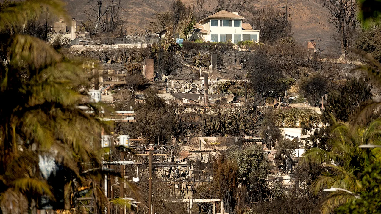 Los Angeles burglary suspect disguised as firefighter, as looting arrests reach about 29 people: sheriff