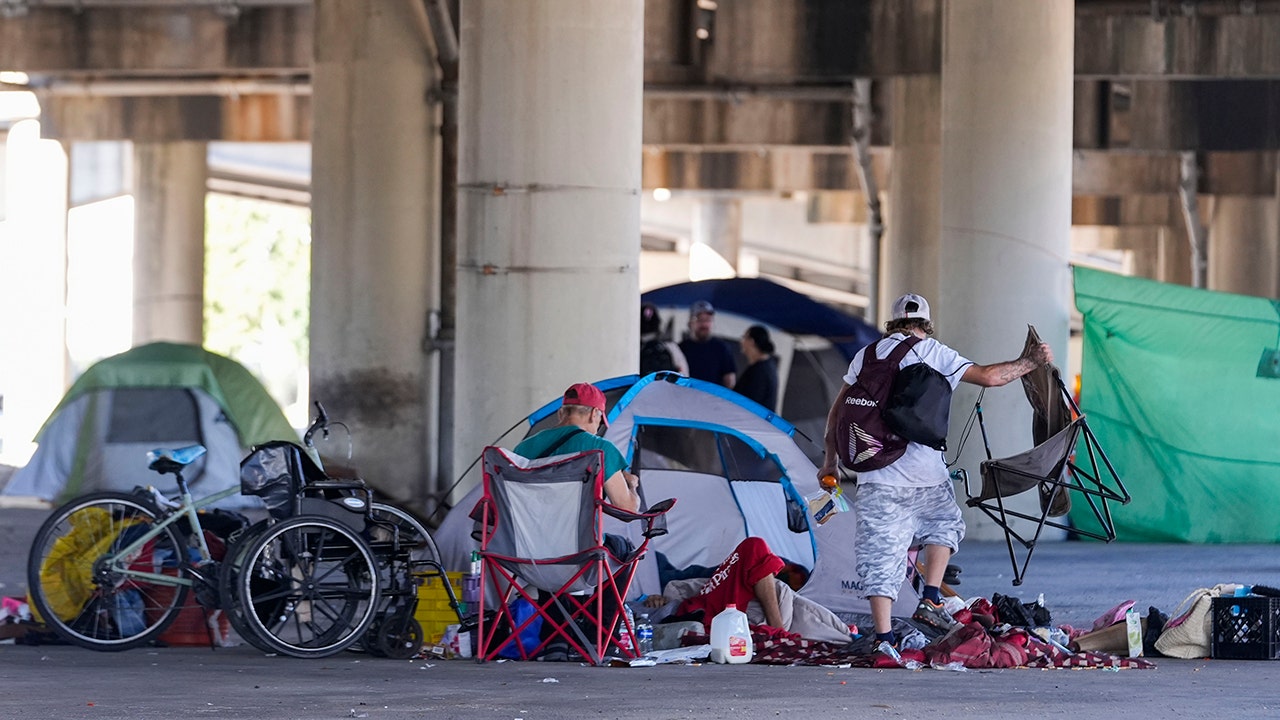 Neighborhood rocked by homeless camp triple murder as former police officer calls for government to intervene