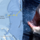 Massive 1,400-pound great white shark pings off Florida beach 4 times in 1 day