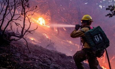 Judge Judy's son wants to see lawsuits in wake of deadly LA wildfires: Public officials 'personally liable'