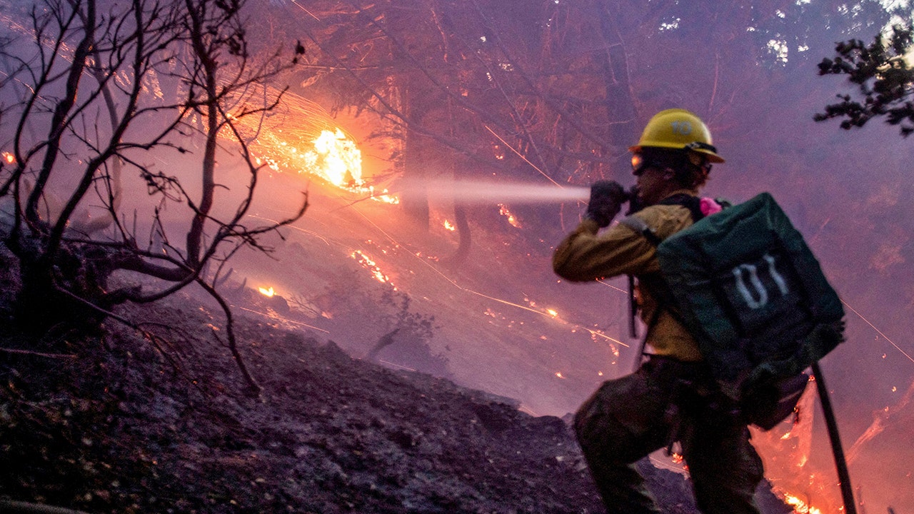 Judge Judy's son wants to see lawsuits in wake of deadly LA wildfires: Public officials 'personally liable'