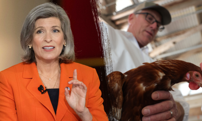 'Devasted farms': Bipartisan Senate letter calls for 'new urgency' to address crippling virus