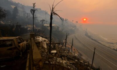 LA's rich and famous made 'odd request' of private armies as wildfires fueled fear, boss says