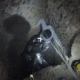 Crews rescue teen from 50-foot-deep California mineshaft: Watch