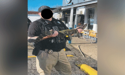 Unusual pet seized during operation targeting gang members in Texas