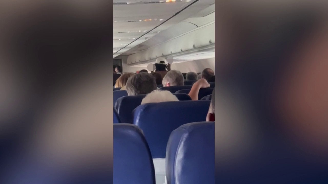 Southwest plane forced to go back to gate as passenger strips naked: reports