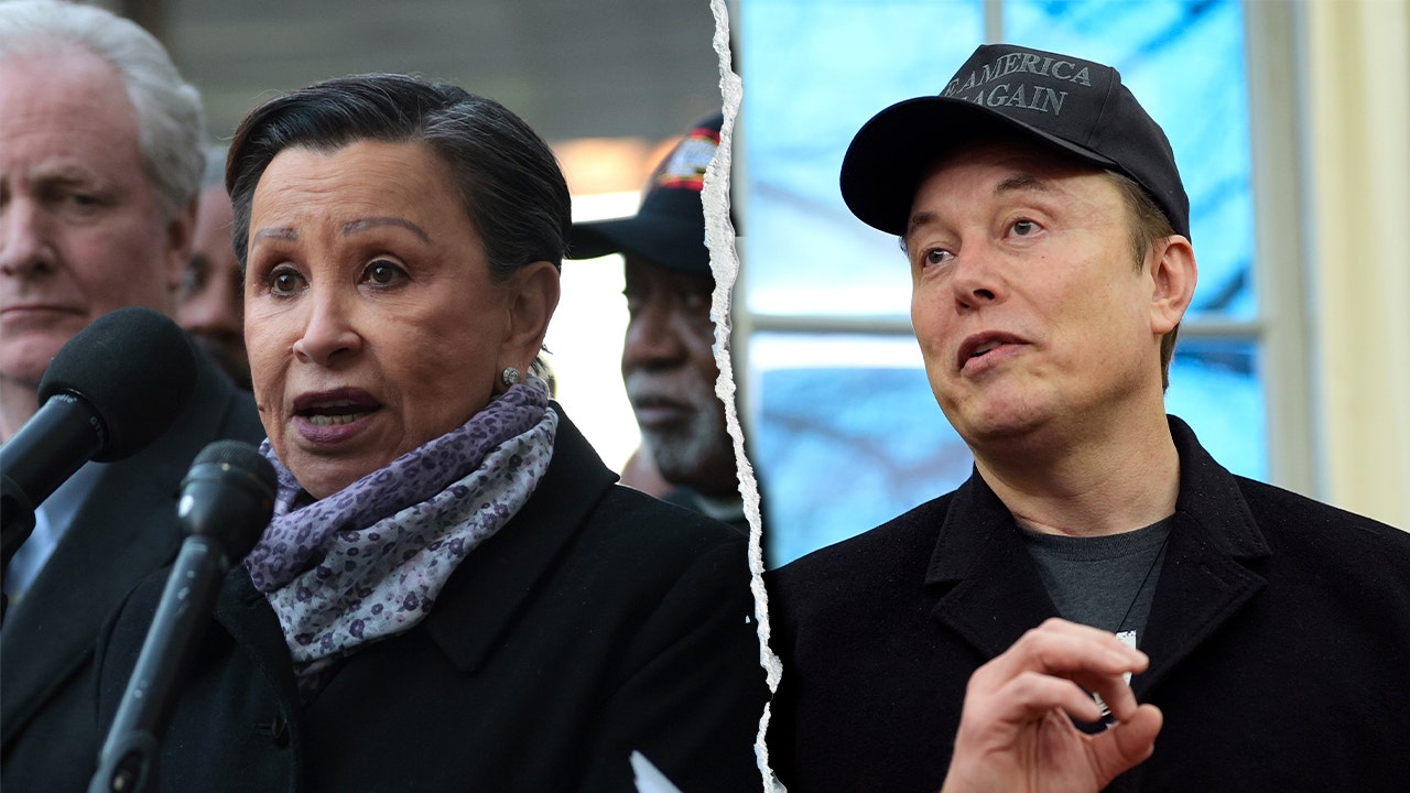 House Dem blasted for 'unhinged' Elon Musk rant telling him to 'Go back to South Africa'