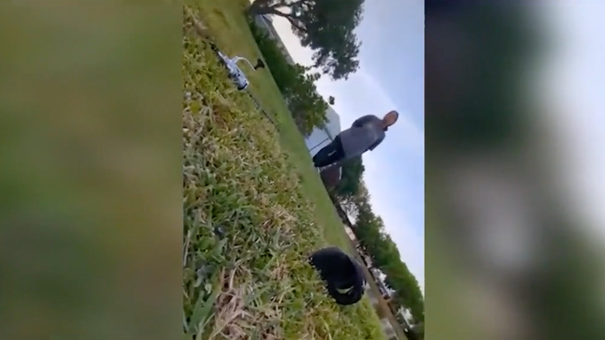 Florida woman points gun at teens near her property
