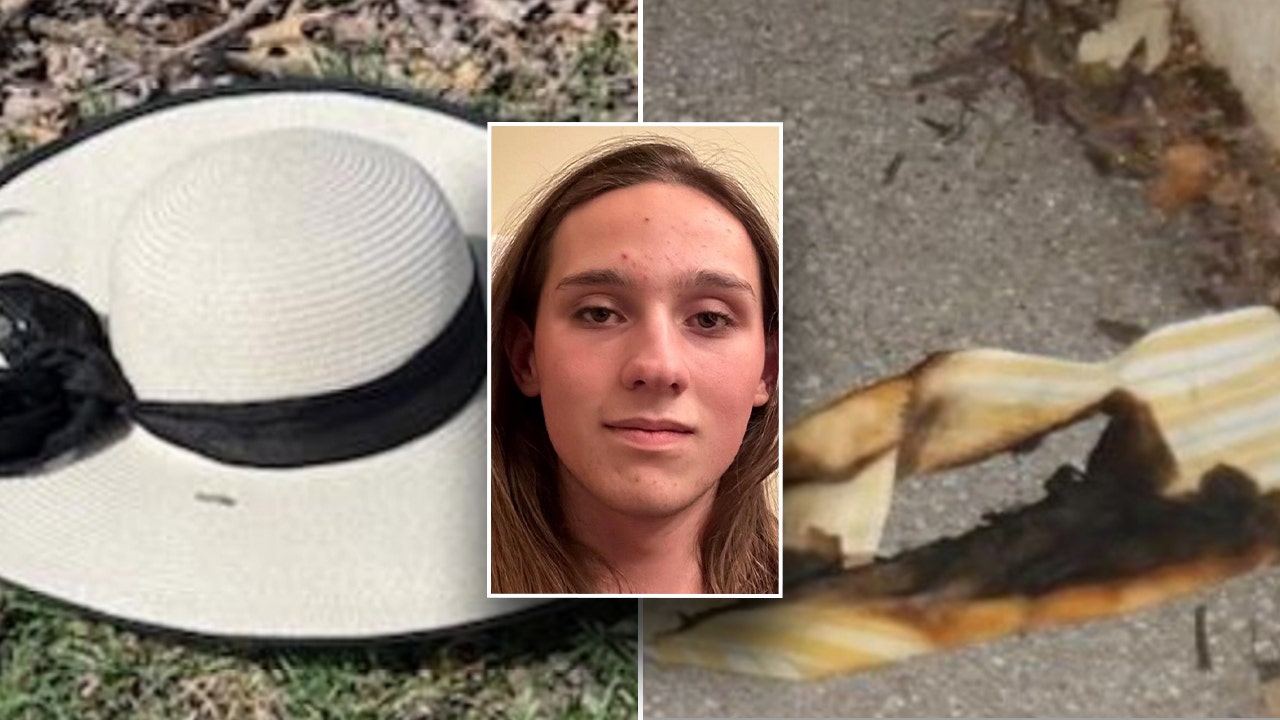 College spring breaker charged in firebombing of Tesla Cybertrucks at dealership