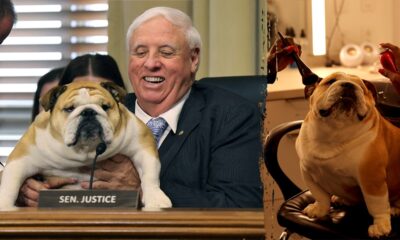 Babydog Justice makes Energy Committee debut as Sen Jim Justice talks Trump, coal and grid reform