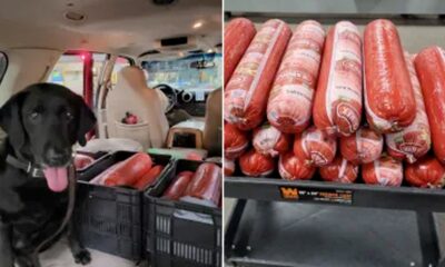 CBP in Texas confiscates 242 pounds of smuggled Mexican bologna at port of entry