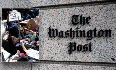 Washington Post article hyping anti-DOGE protesters in deep red state omits crucial details