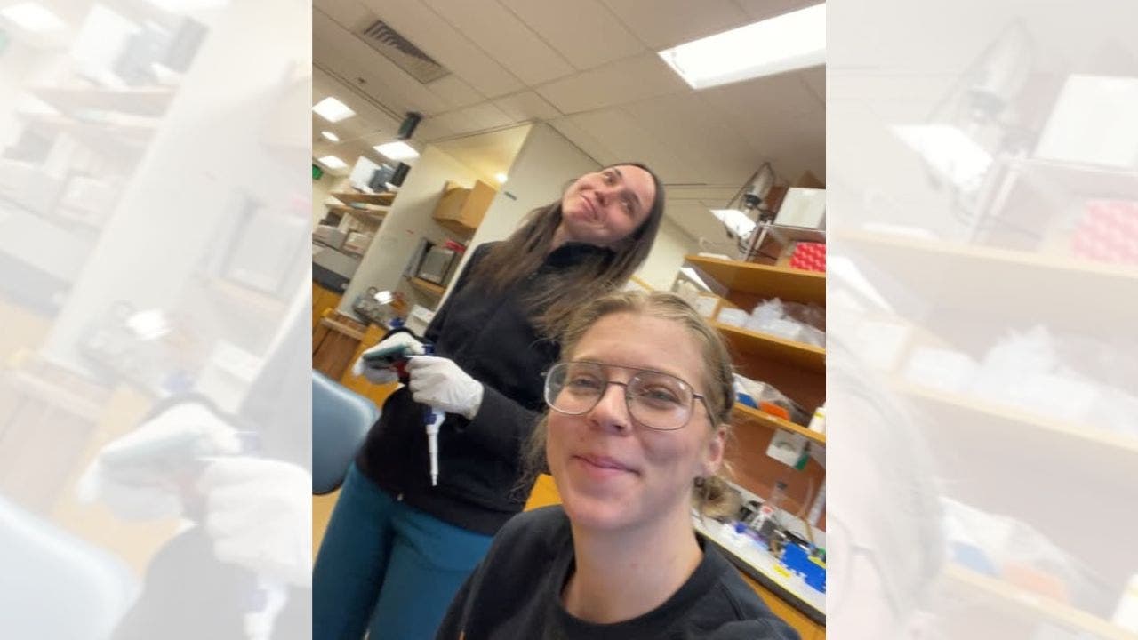 Russian scientist at Harvard Medical School detained by ICE at Boston airport Russian scientist at Harvard Medical School detained by ICE at Boston airport