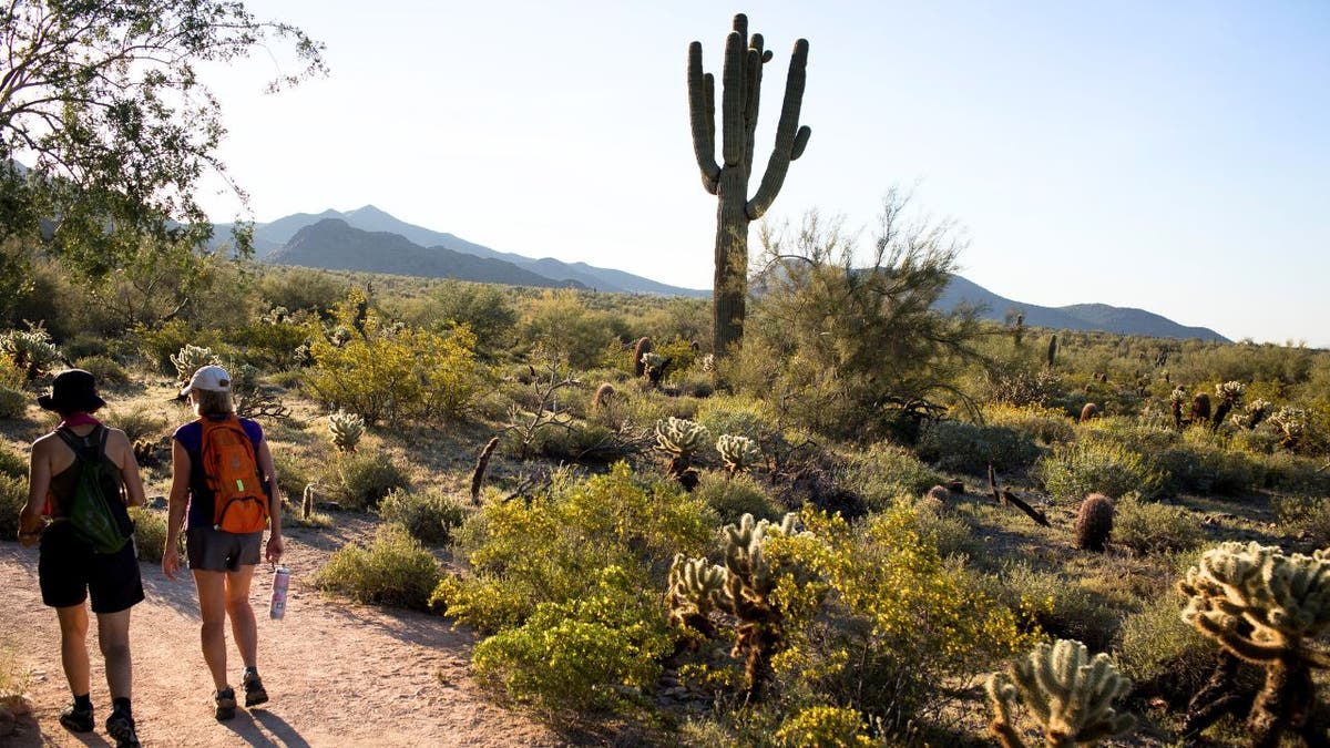 Hikers begin their day on the Gateway Loop Trail at the McDowell Mountain Sonoran Preserve.