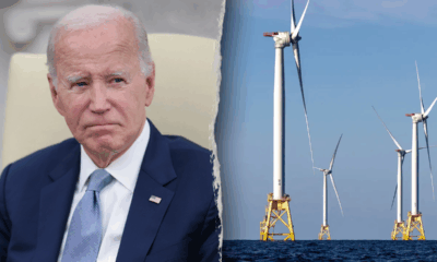 Biden green energy project halted by Trump admin relied on rushed, bad science, study finds