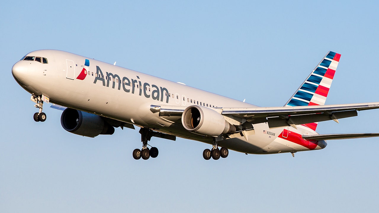 Man charged after allegedly attacking flight attendant on American Airlines flight: DOJ