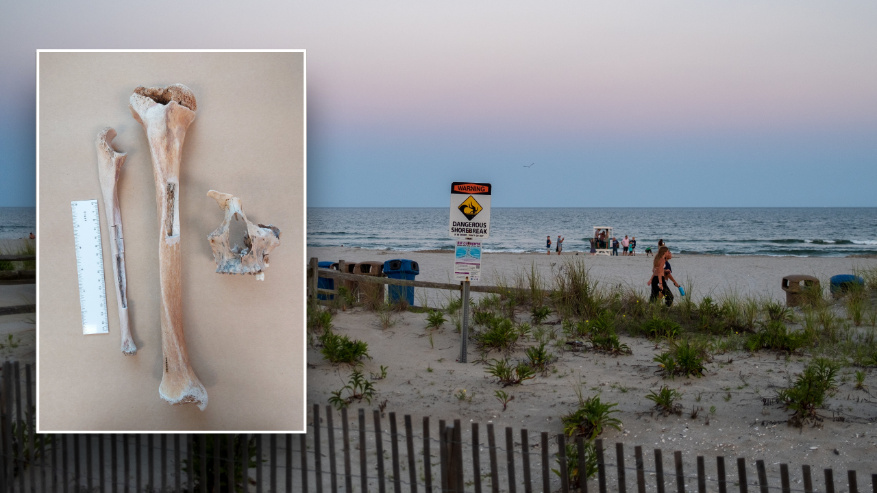 Mysterious bones that washed up on Jersey Shore finally identified 180 years after tragedy