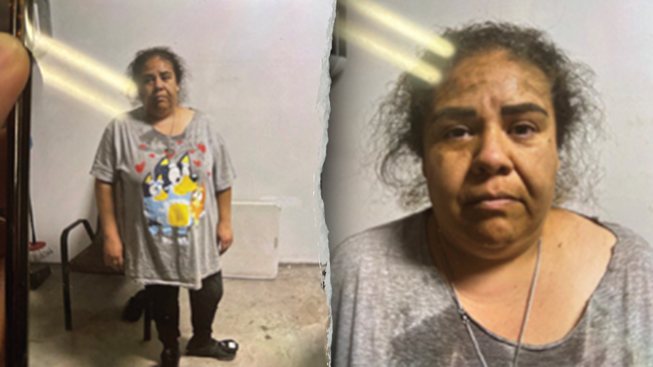 Mexican woman in US illegally charged with faking her own ICE ‘kidnapping’ Mexican woman in US illegally charged with faking her own ICE ‘kidnapping’