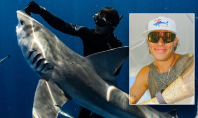 Diver who freed sharks gets Trump pardon after felony conviction stuns him: 'My heart sank'
