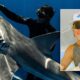 Diver who freed sharks gets Trump pardon after felony conviction stuns him: 'My heart sank'