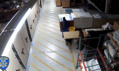 Video shows masked thieves raiding art museum artifacts in bold overnight heist: officials