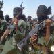 Minnesota taxpayer dollars funneled to Al-Shabaab terror group, report alleges