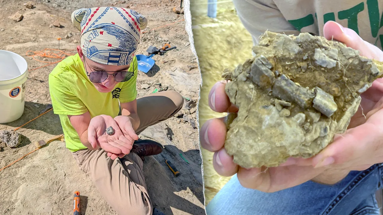 Student unearths 150-million-year-old dinosaur fossil on first day of Montana dig: ‘Very exciting’