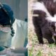 Michigan man dies of rabies after receiving kidney from infected donor who saved kitten from skunk: CDC