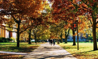 University of Illinois lesson materials push leftist race, class struggles on future teachers: leaked lectures