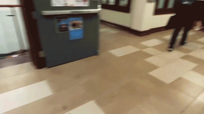 Conservative Gettysburg College group catches student on video tearing down promotional flyers