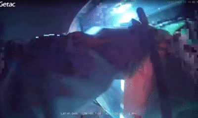 WATCH: Ohio police smash sunroof, drag injured driver from burning car after rollover crash