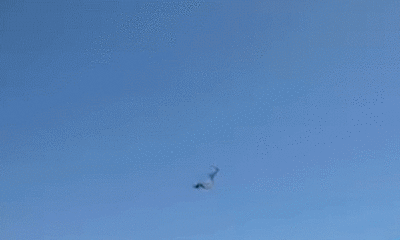 Florida paraglider survives 500-foot plunge into ocean