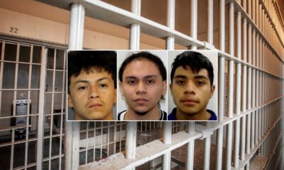 ICE seeking detention of 3 alleged MS-13 members accused of murdering 14-year-old boy