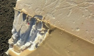 Surfer says shark attack felt ‘like being hit by a car’ as board bitten in half: reports