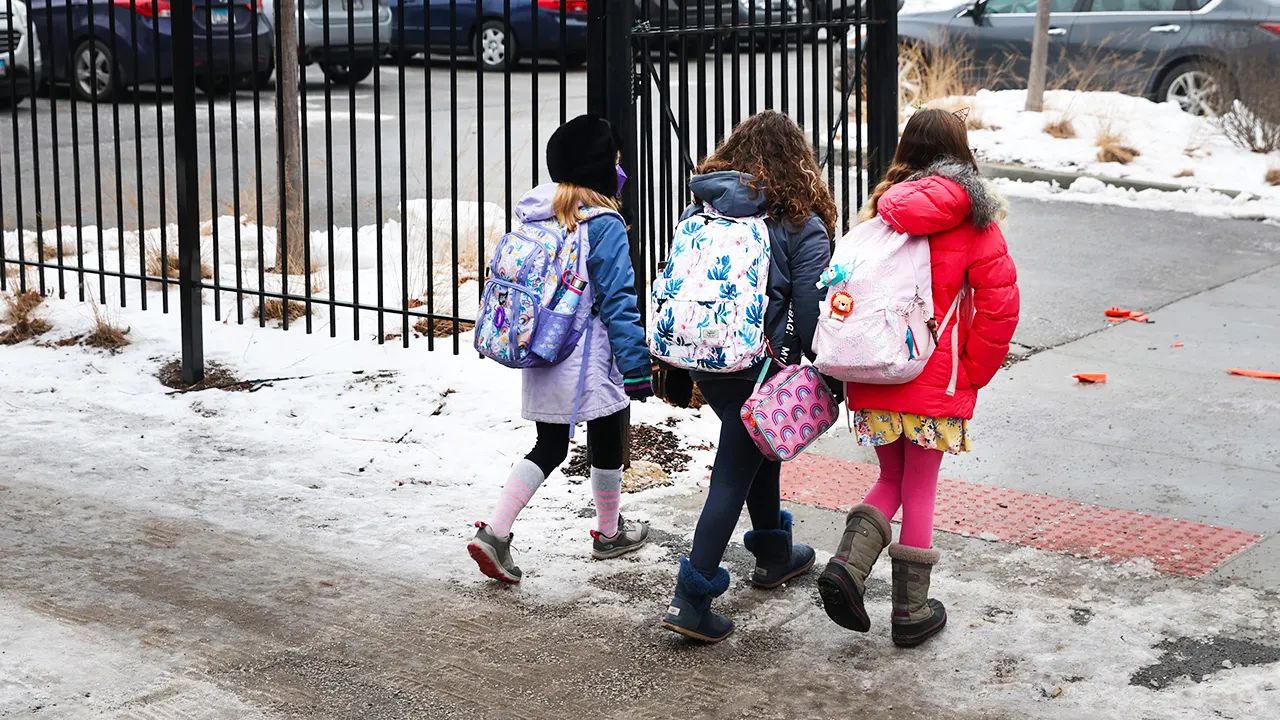 Illinois district where faculty celebrated Charlie Kirk’s death exposed over racial ‘segregation’ plan