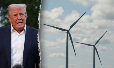 Justice Department fights back after federal judge blocks Trump’s wind energy freeze