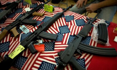 Gun rights expert says Minnesota Dems tried to block her testimony on firearm bills to ‘avoid’ policy debate