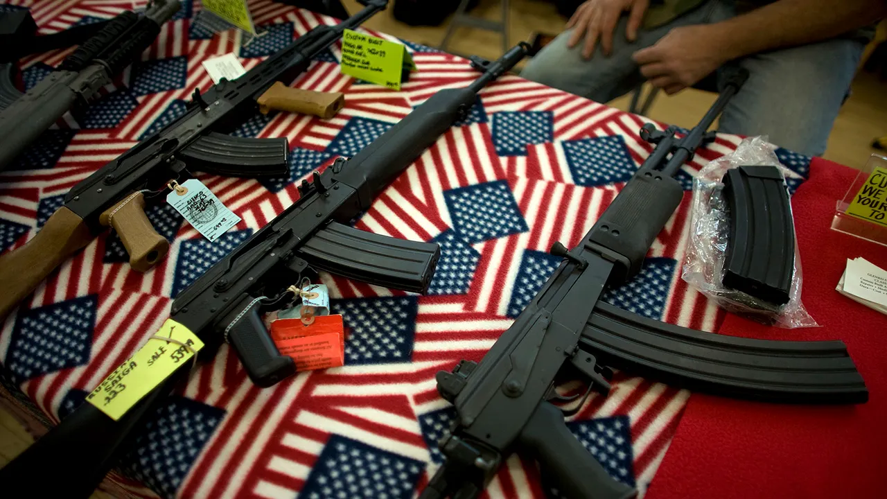 Gun rights expert says Minnesota Dems tried to block her testimony on firearm bills to ‘avoid’ policy debate